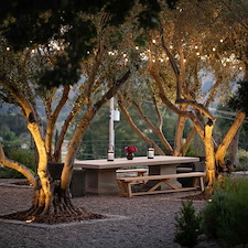 Where History Takes Root in Arroyo Grande, CA 2